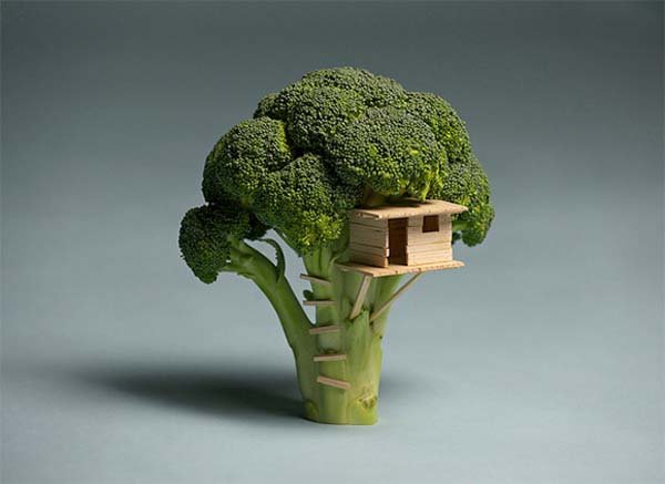 Broccoli-House