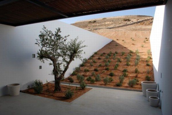 1262878891-aloni-south-courtyard-528x353
