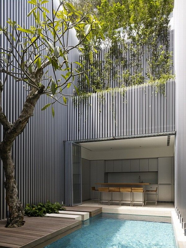 Tree-Next-to-Pool