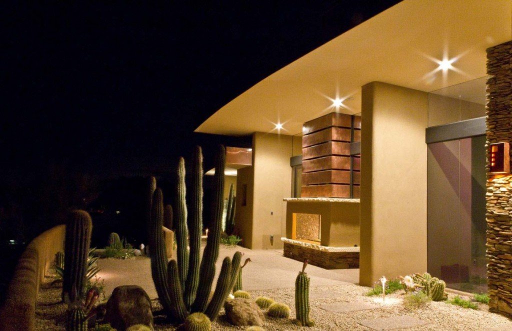 Arid-Vegetation-