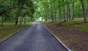 Green-Lush-Vegetation